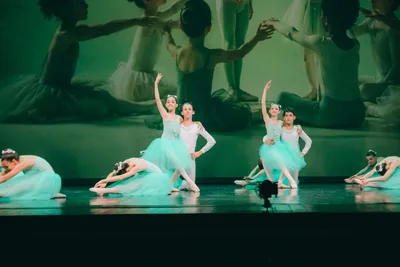 Corso di Danza Classica Adulti (dai 16 anni) — Free Harmony Dance Time, Bolzano Vicentino