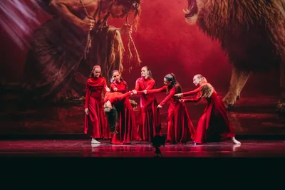 Corso di Danza Contemporanea (dagli 11/12 anni) — Free Harmony Dance Time, Bolzano Vicentino